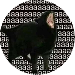aaa cat