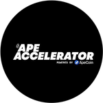 APE Accelerator