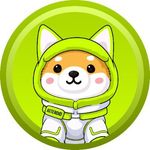 Asteroid Shiba