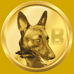 Belgian Malinois