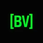 Belief Velocity