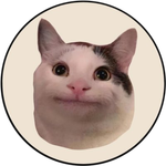 Beluga Cat