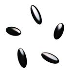 BlackOpal