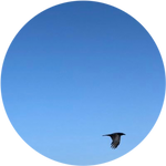Bluesky