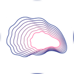Carapace Finance