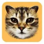 #cat