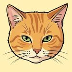 Cat Mayor