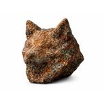 copper inu