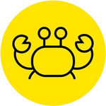 Crab Market