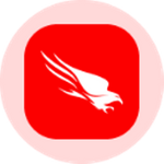 CrowdStrike Holdings Inc (Derivatives)