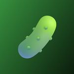 Cucumber Trade