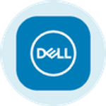 Dell Technologies Tokenized Stock (Ondo)