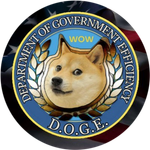 Department Of Government Efficiency