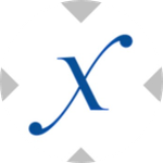 Direxion Semiconductor Bull 3X tokenized ETF (xStock)