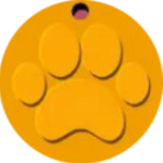 Dog Tag