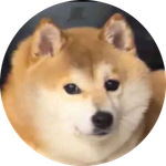 doge秽土转生版真名
