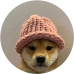 dogwifhat