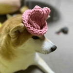 dogwifhat2