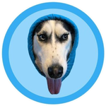 DOGWIFHOOD