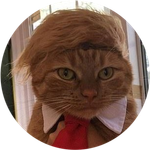 DONALDCAT