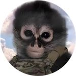 EL CHANGUITO