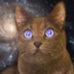 Ethereum Cat