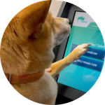 First Dog to Buy Crypto