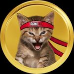 GME (Ethereum)