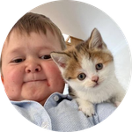 Hasbulla's Cat
