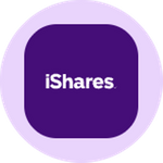 iShares China Large-Cap Tokenized ETF (Ondo)