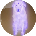 Illusion