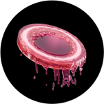 JELLY