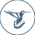 Kolibri USD