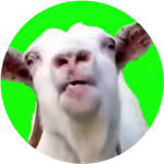 LICKGOAT