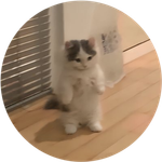 michi