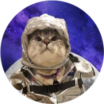 Moon Cat