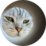 MUNCAT