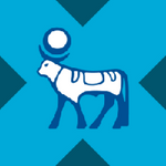 Novo Nordisk tokenized stock (xStock)