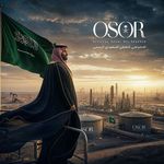 Official Saudi Oil Reserve