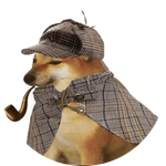 pipedog