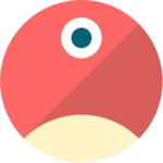 pNetwork