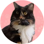 Pnut's Sister