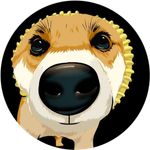 Pochita (SOL)
