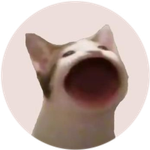 Popcat