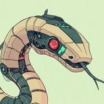 Python