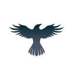 Raven Protocol