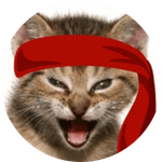 Red Kitten Crew