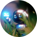 ROACORE
