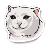 SAD MEOW