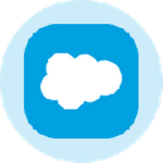Salesforce Inc (Derivatives)